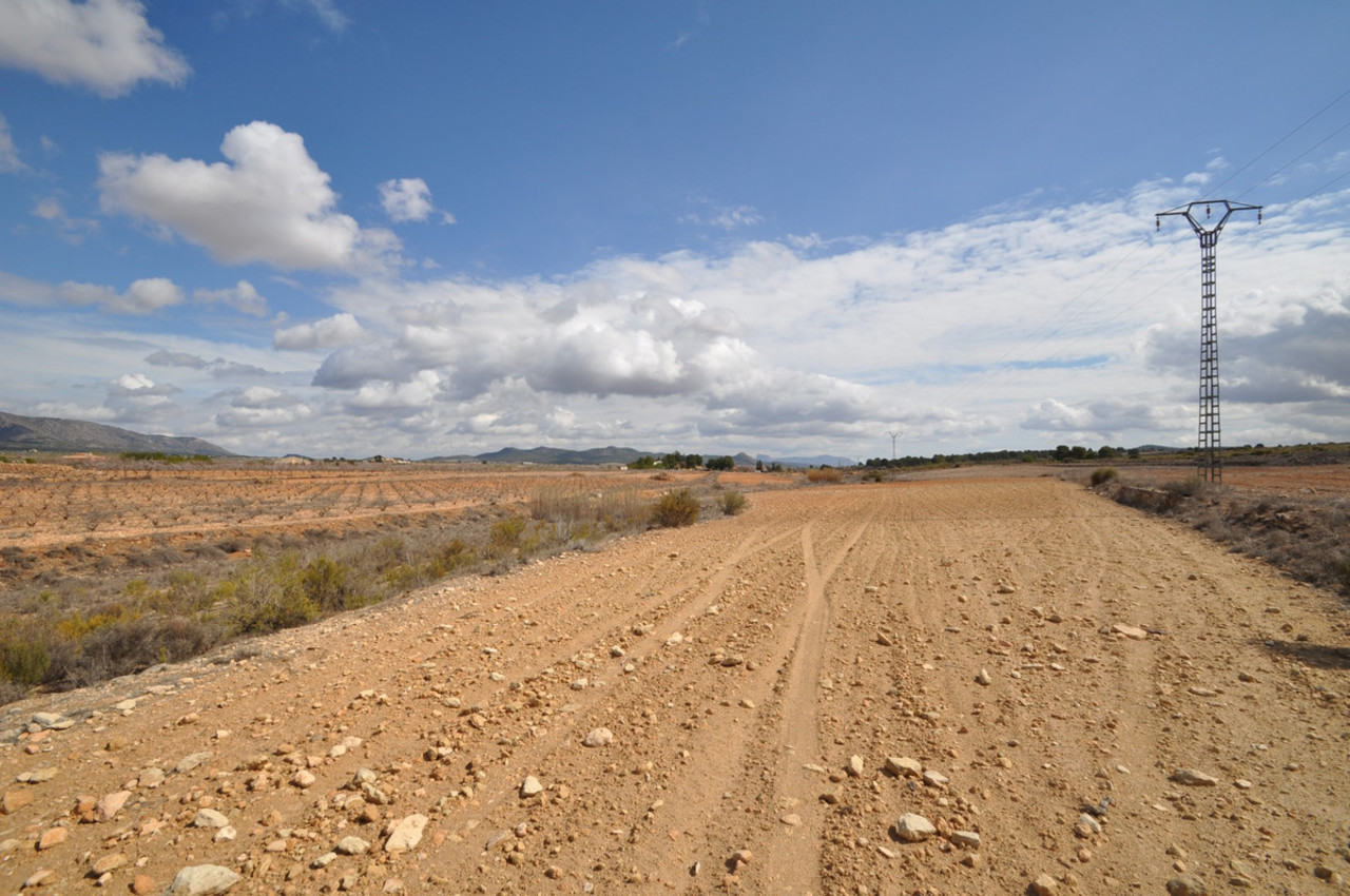 Plot for sale in Pinoso