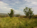 Plot te koop in Benissa
