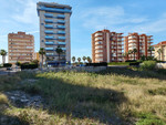 1 bedroom Plot for sale in Guardamar del Segura