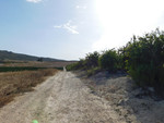 Plot for sale in Torremendo