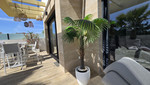 3 bedroom Villa te koop in Los Montesinos
