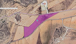 Plot for sale in Pinoso