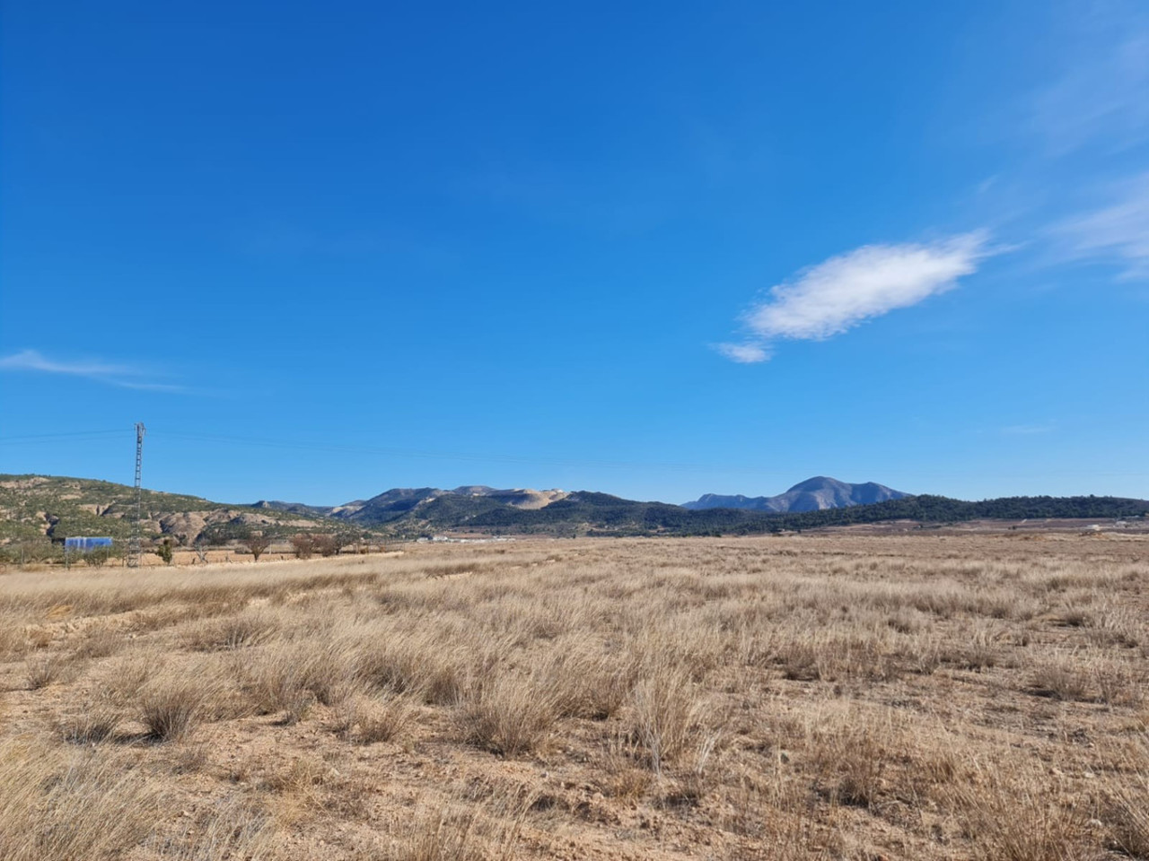 Plot for sale in Pinoso