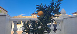 5 bedroom Villa te koop in La Zenia