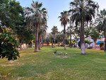 2 bedroom Appartement te koop in Campoamor
