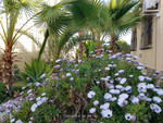 8 bedroom Villa te koop in Los Balcones