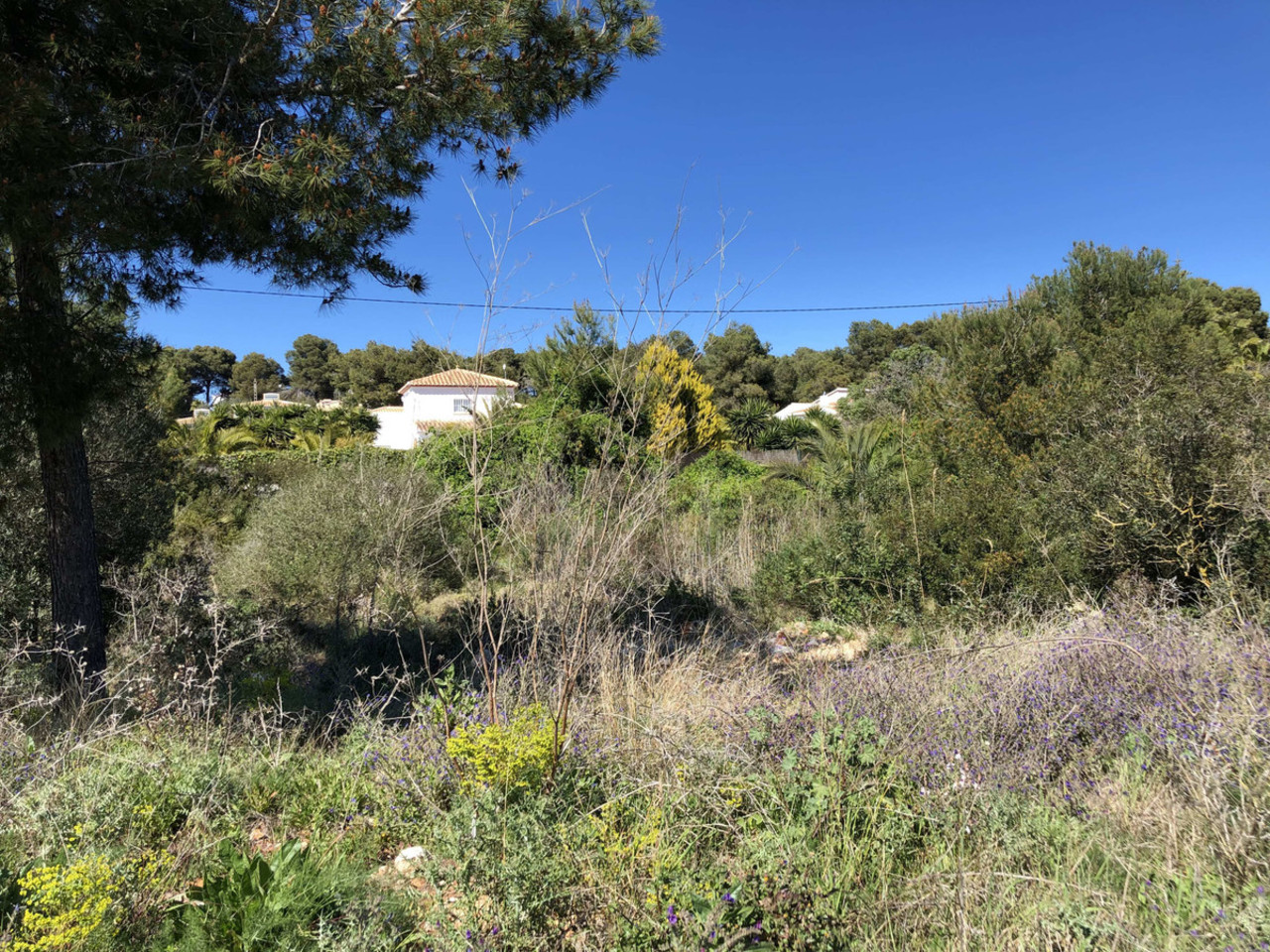 das Grundstück 
zum verkauf in Javea
