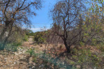 Участок для продажи в Denia