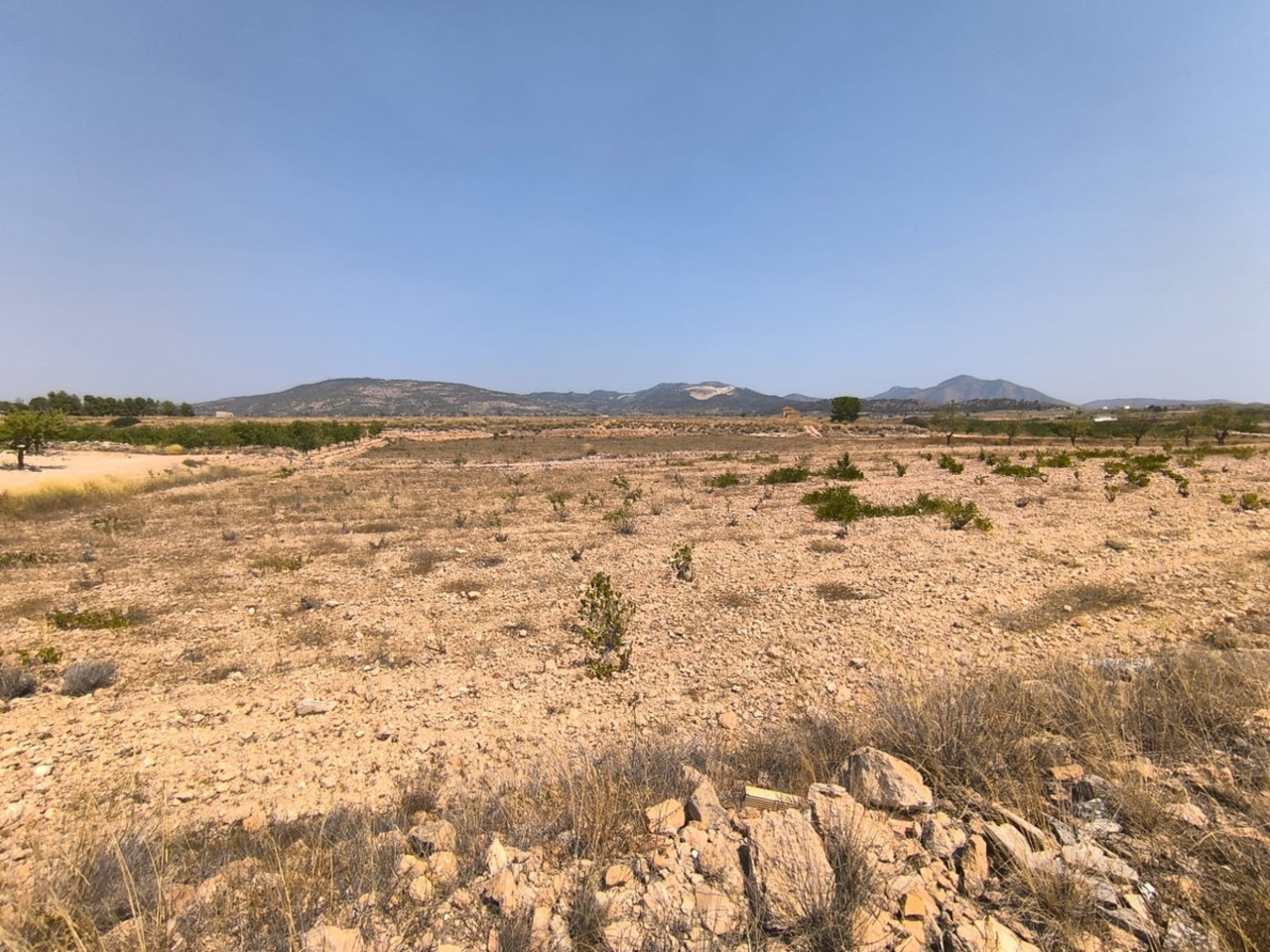Plot for sale in Pinoso