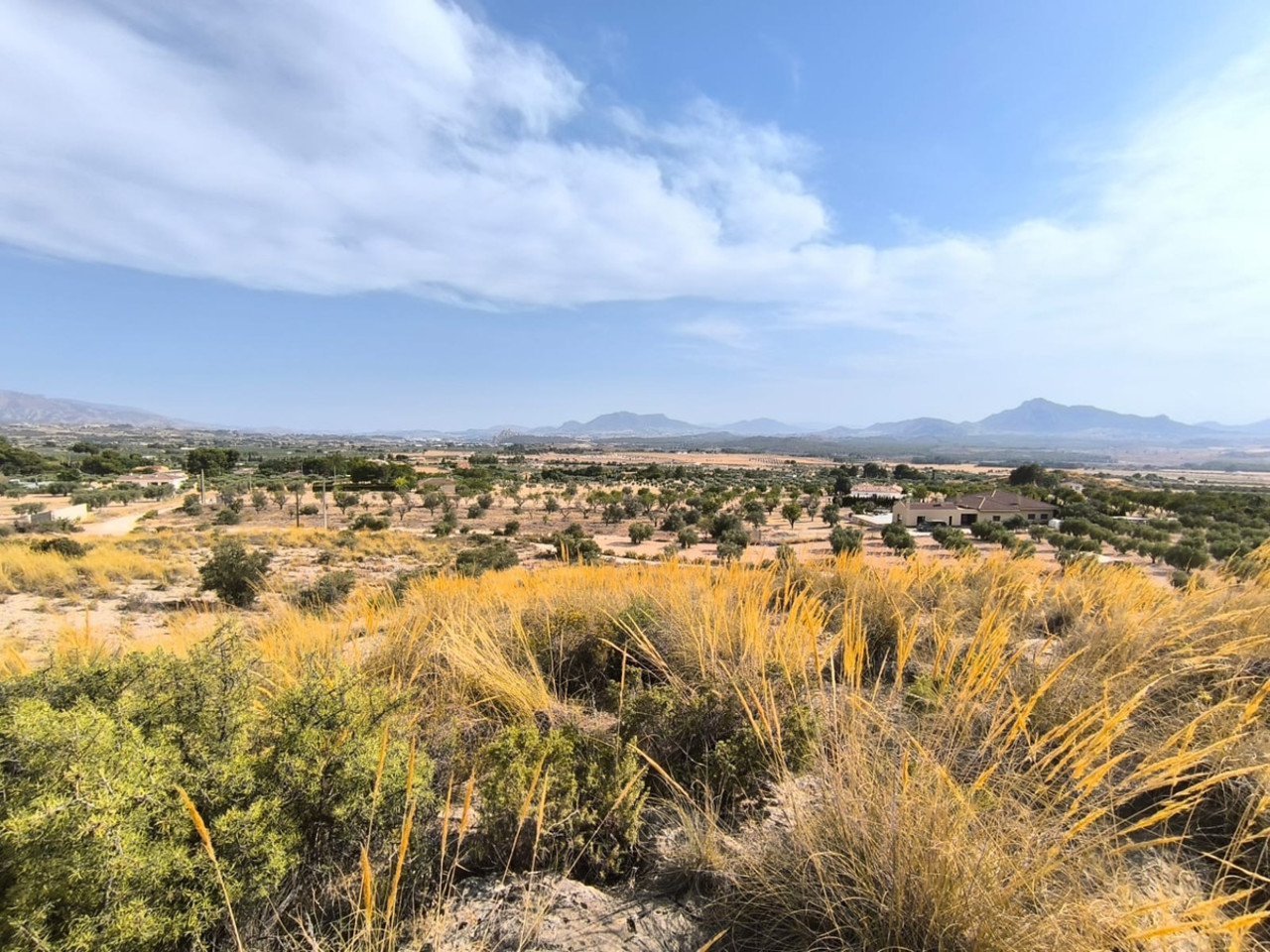 Plot for sale in Sax