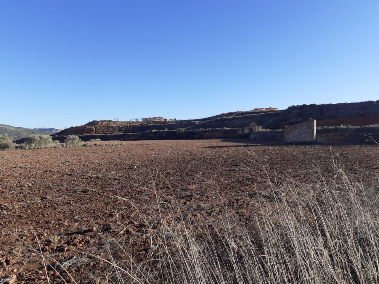 Parcelle à vendre à Pinoso