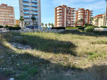 1 bedroom Plot for sale in Guardamar del Segura