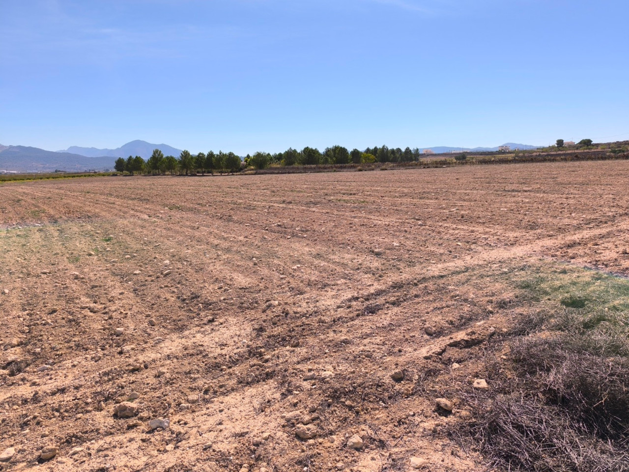 Plot for sale in Pinoso
