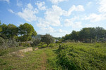 3 bedroom Plot for sale in Javea