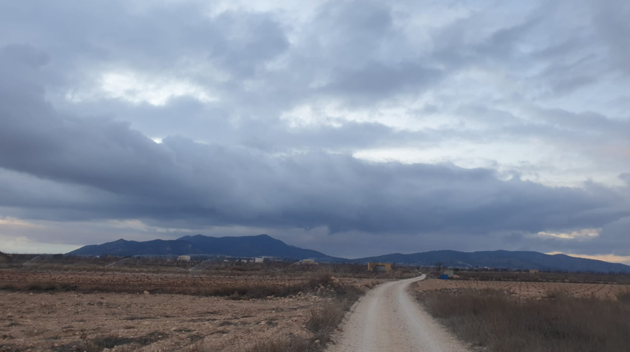 Plot for sale in Pinoso