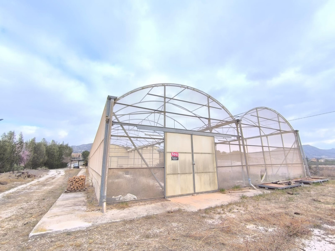 Commercial for sale in Aspe