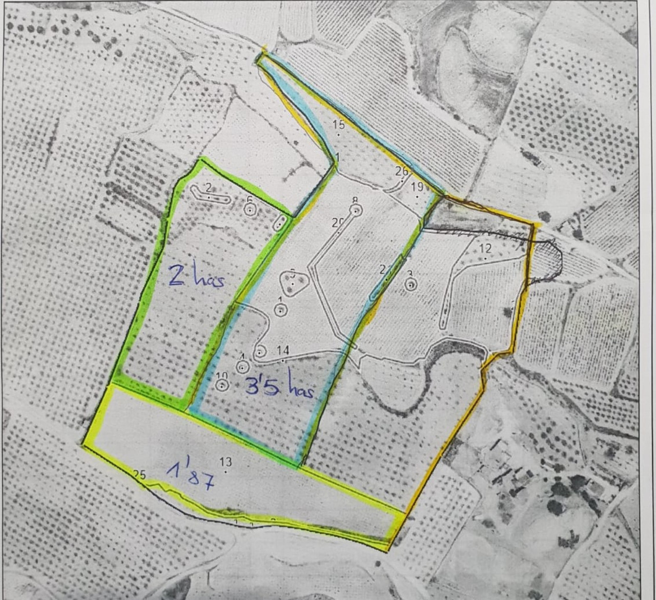 Plot for sale in Pinoso