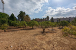 Участок для продажи в Denia