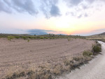 Plot for sale in Pinoso