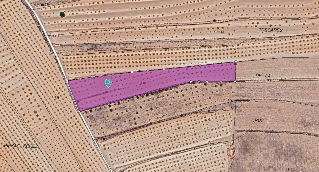 Plot for sale in Pinoso