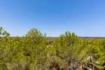 2 bedroom Appartement te koop in Las Colinas Golf Resort