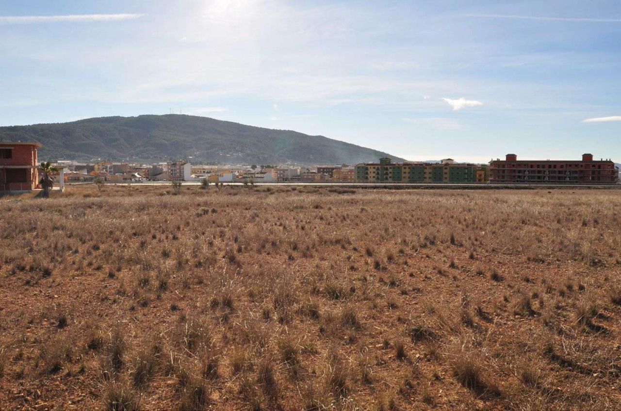 Plot for sale in Pinoso