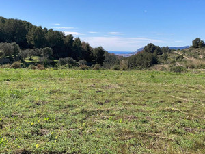 Parcelle à vendre à Pedramala