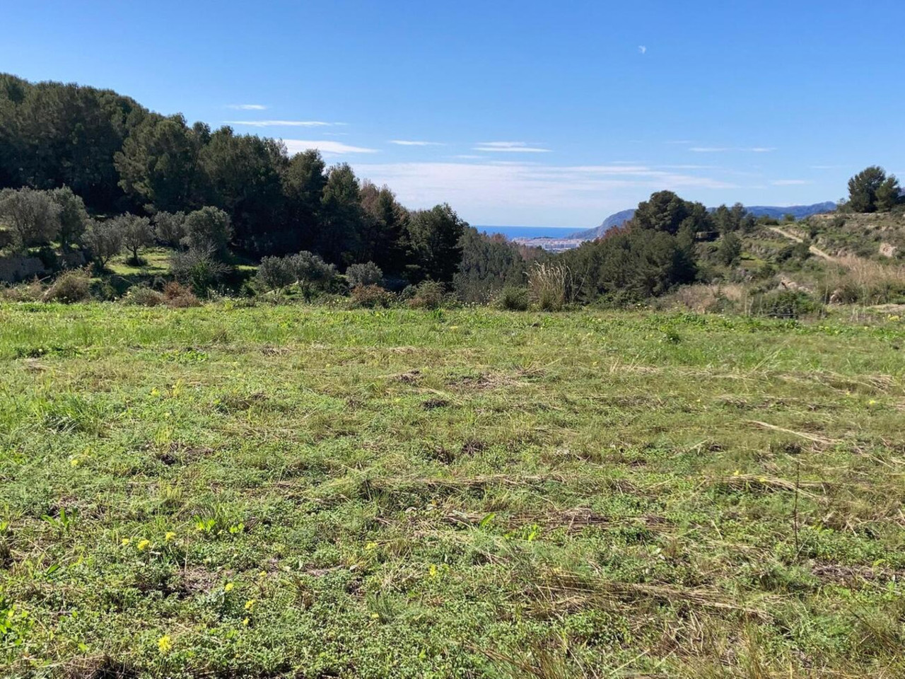 Plot for sale in Pedramala