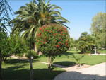 4 bedroom Villa for sale in Denia
