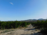 Plot for sale in Torremendo