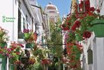 2 bedroom Appartement te koop in Estepona