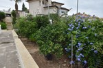 3 sovrum Villa till salu i Algorfa 