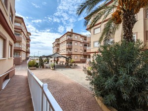 2 bedroom Apartment for sale in Algorfa