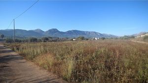 Grondstuk te koop in Jalon