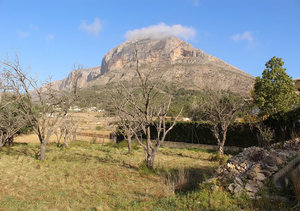 Plot for sale in Javea