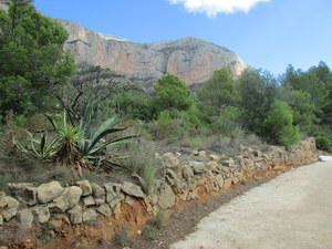 Building Plot for Sale in Javea Montgo