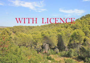 Plot for sale in Javea