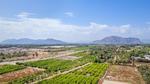 3 bedroom Penthouse for sale in Jacarilla
