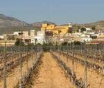 3 bedroom Bungalow for sale in Hondon de las Nieves