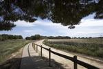 2 bedroom Villa for sale in Torrevieja