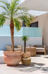 3 bedroom Villa for sale in Dolores