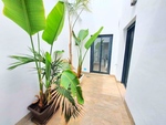 3 bedroom Townhouse for sale in Pilar de la Horadada