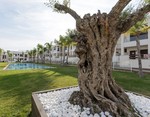 2 bedroom Apartment for sale in Torrevieja