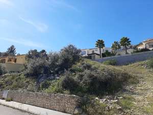 Perceel te koop in Alcalali