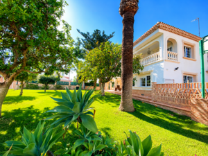 8 bedroom Villa for sale in Cabo Roig