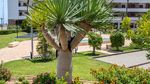 3 bedroom Appartement te koop in Orihuela Costa