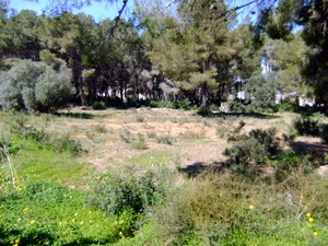 Plot for sale in Javea