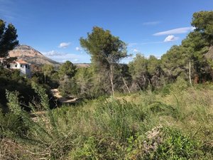 Grondstuk te koop in Javea