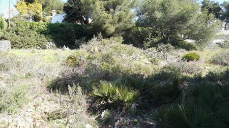 Property for sale in | Spanish Properties