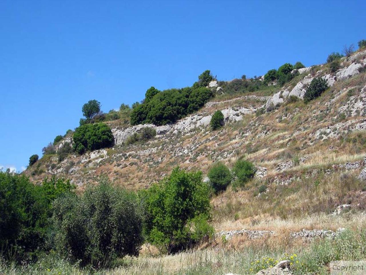 1 bedroom Plot for sale in Pafos